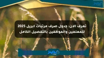 تعرف الآن: جدول صرف مرتبات أبريل 2025 للمعلمين والموظفين بالتفصيل الكامل